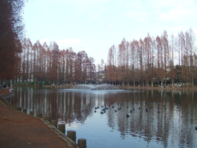 さいたま市営 別所沼公園まで71ｍ