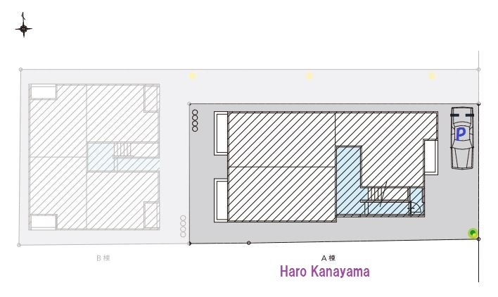 Ｈａｒｏ　Ｋａｎａｙａｍａのその他