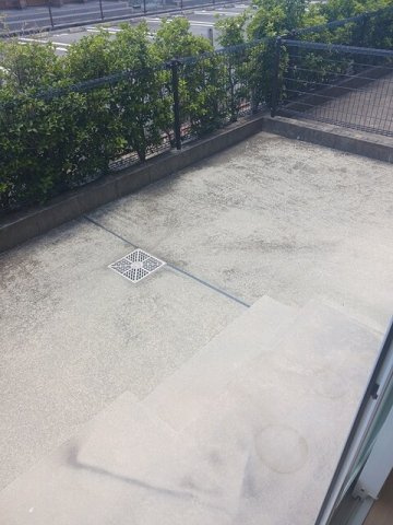 【庭】 | サン・カンナ・リリー　Ⅰ