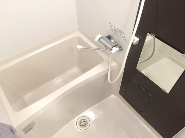 レオネクストエスポワールⅡの浴室