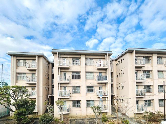 葛飾区青戸8丁目新築分譲住宅の展望|眺望