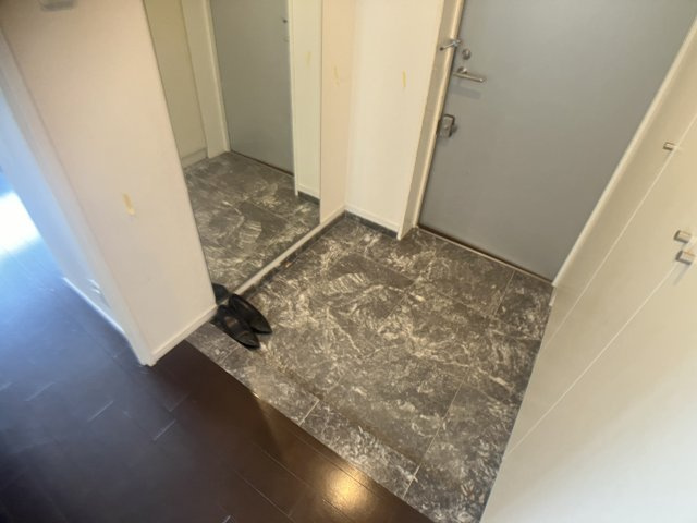 テラス本八幡の玄関