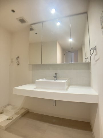 テラス本八幡の洗面所