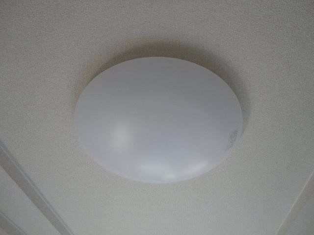 グレイスハイムのその他|照明