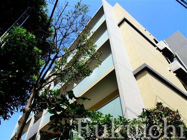 イルミナーレ学大