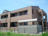 ルディーリベラの画像