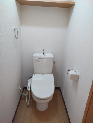 熊本市南区御幸笛田１丁目の賃貸マンションのトイレ
