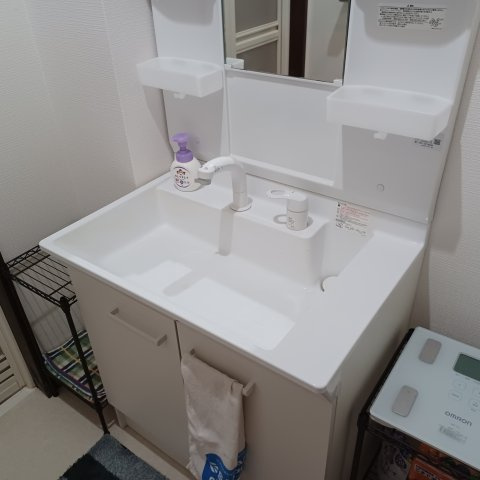 比企郡滑川町大字羽尾1287番1 中古戸建の洗面所