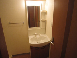 シャンプードレッサー