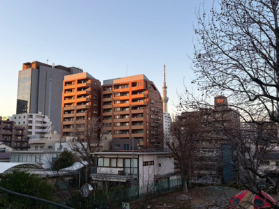 【展望】 | THone