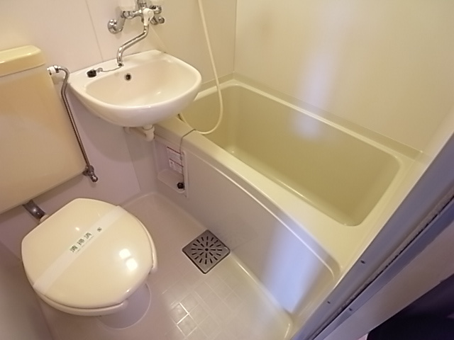 キャッスルコートⅡの洗面所