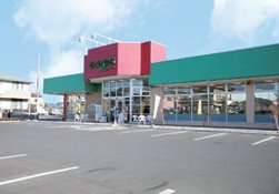 しまむらストアー中原御殿店まで456ｍ