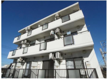 ルナコートの画像