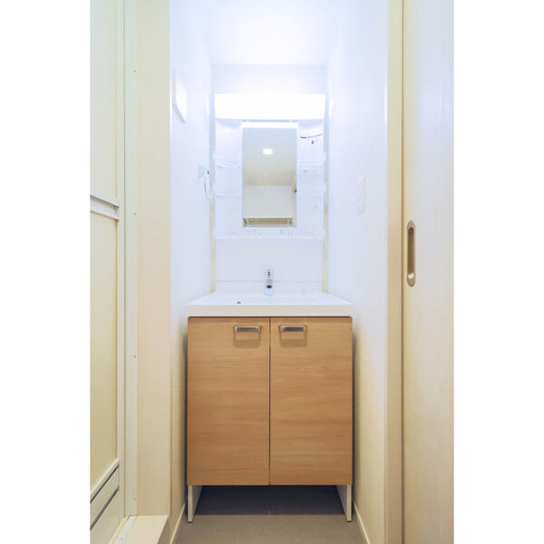 桜ハーモニーテラスの洗面所