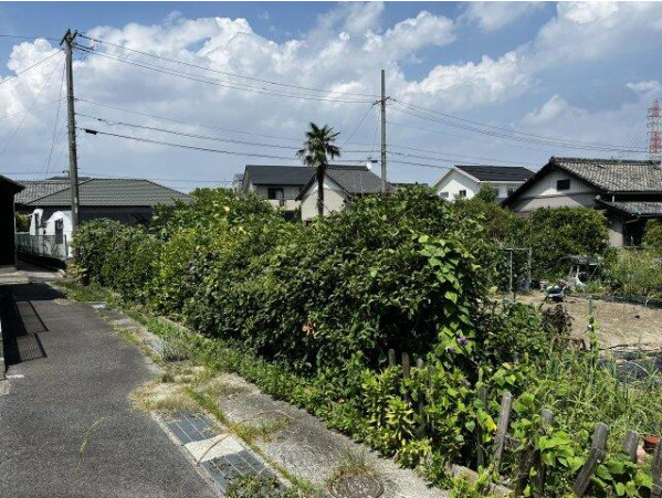知多郡武豊町字山起　売り土地の外観