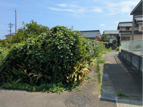 知多郡武豊町字山起　売り土地の外観