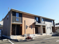 ハナミズキの画像