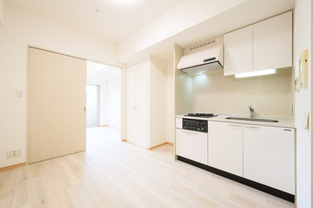 川崎市多摩区三田１丁目の賃貸マンションのキッチン