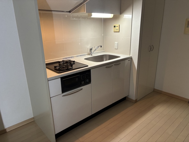 川崎市多摩区三田１丁目の賃貸マンションのキッチン