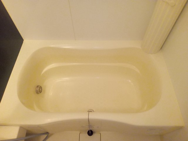 川崎市多摩区三田１丁目の賃貸マンションの浴室