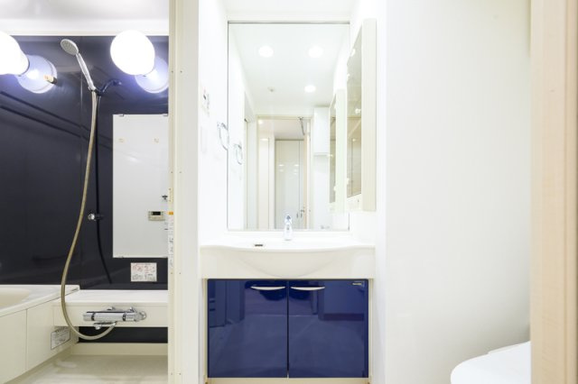 川崎市多摩区三田１丁目の賃貸マンションの洗面所