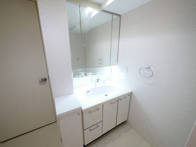 プレサンス南堀江パークサイドの洗面所