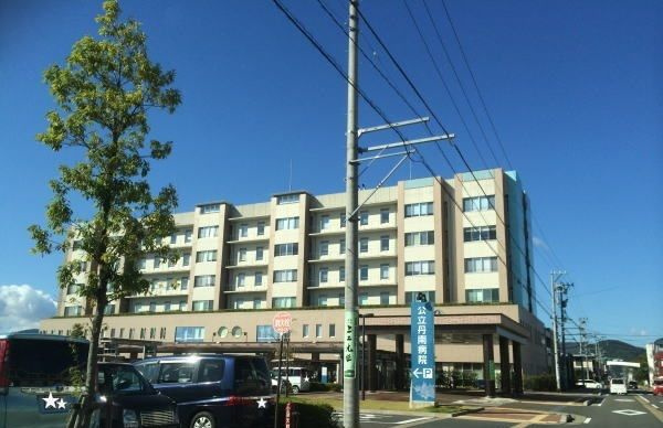 ブルースター　Ⅱのその他