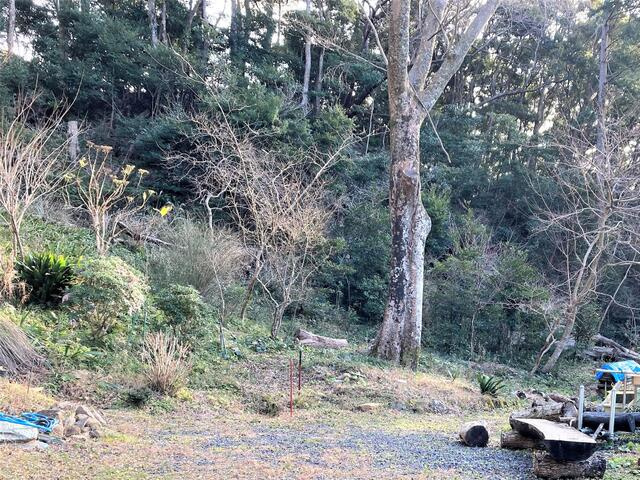 松崎町　石部の庭
