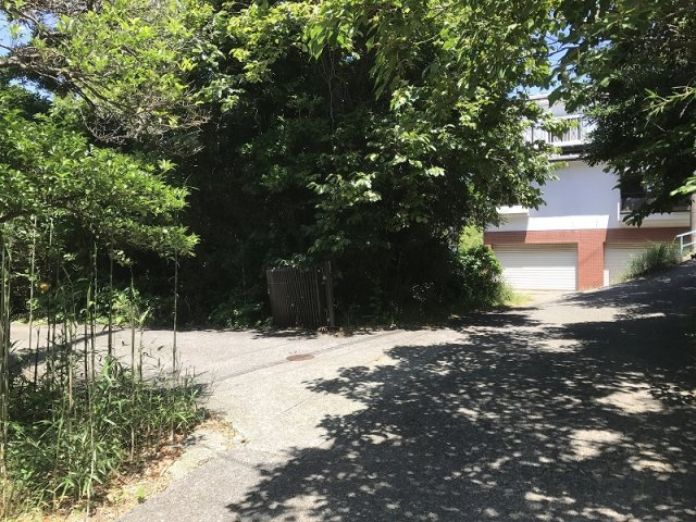 下田市　白浜の周辺