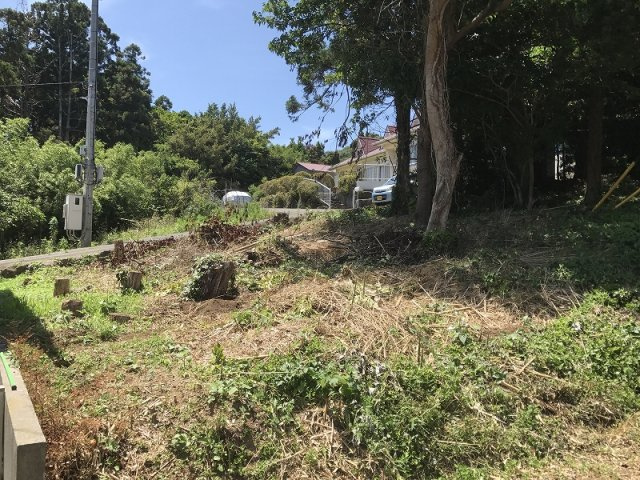下田市　白浜の周辺