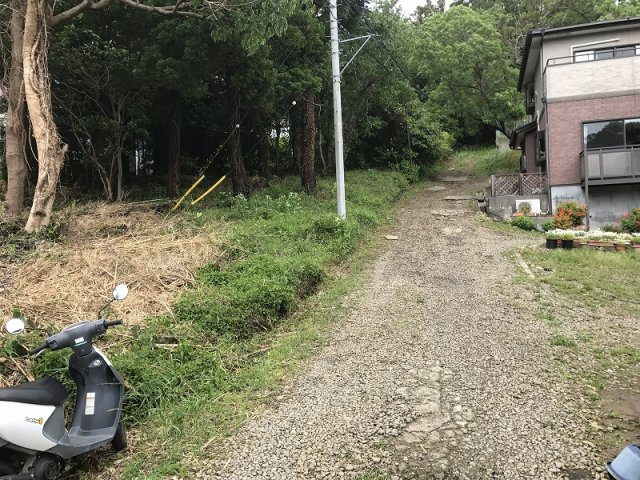 下田市　白浜の周辺