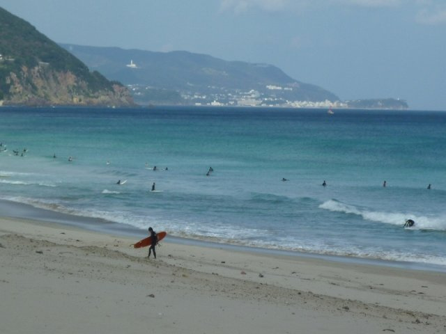 下田市　白浜の周辺|白浜海岸