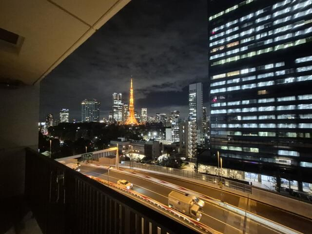 ザ・パークワンズ芝公園の展望