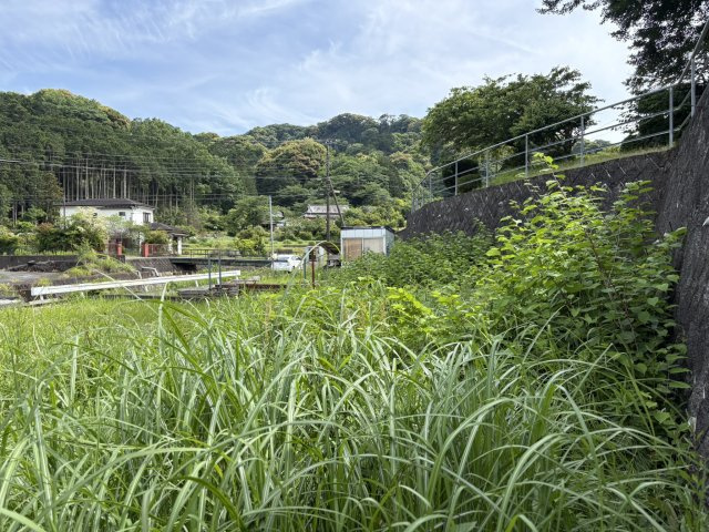 下田市　横川の周辺