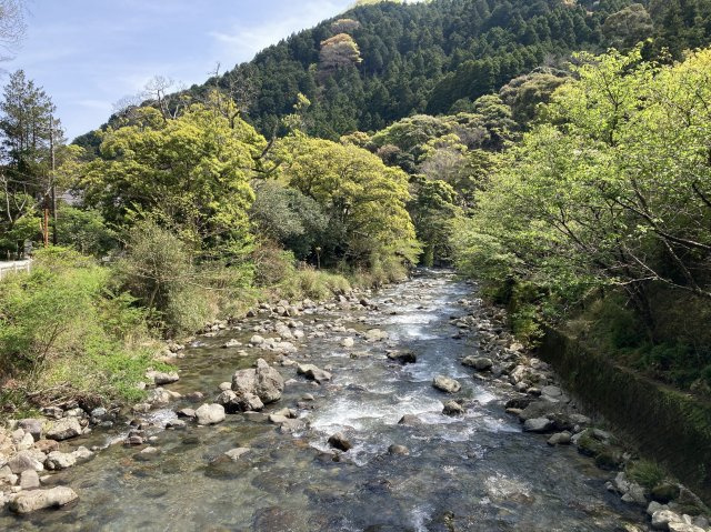 河津町　梨本の周辺