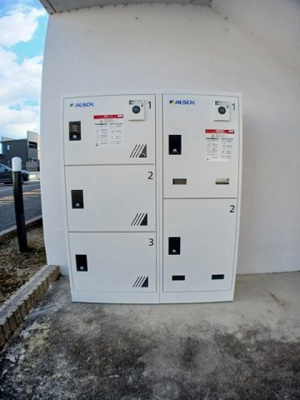 【その他】 | カモミール