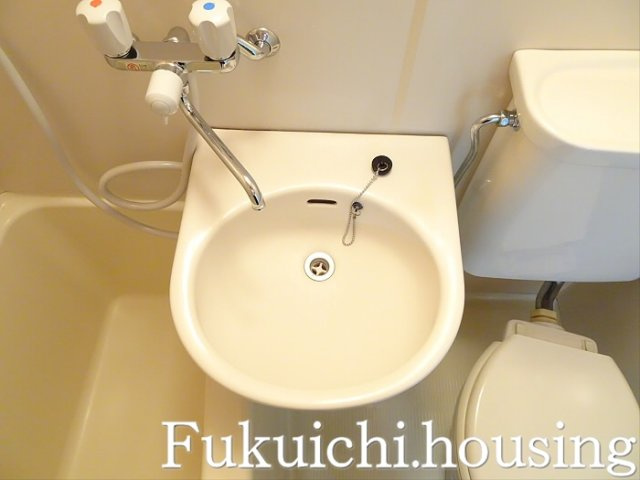 メゾンRTの洗面所