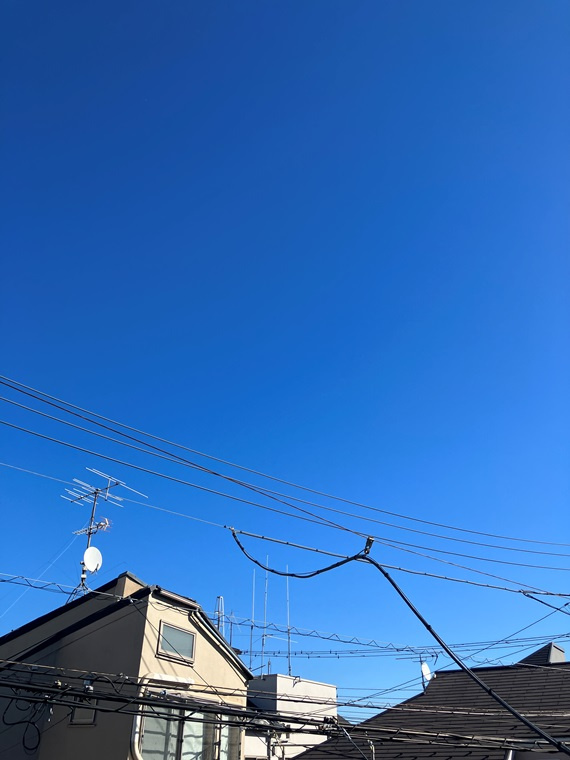 久が原戸建の展望