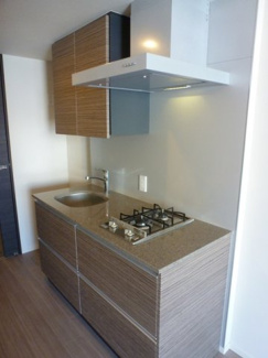 Dタイプ2013年11月撮影 同タイプ603号室の写真です。