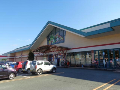 【周辺】 | ハイム白居