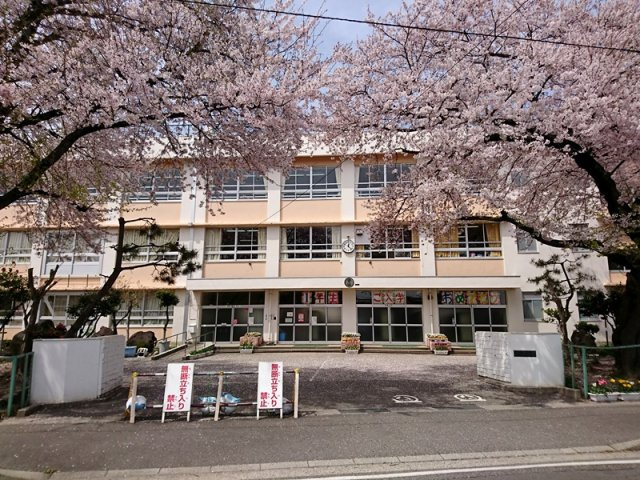 サーム新石山弐番館の周辺|中野山小学校まで約540ｍ
