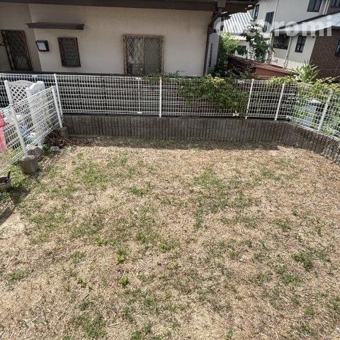 上野１丁目貸家の庭