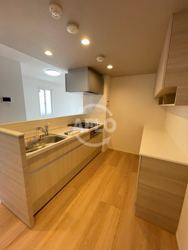 モンテゾーロ西田辺のキッチン|モンテゾーロ西田辺　キッチン