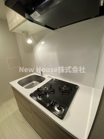 プレニーズ護国寺PREMIERの周辺