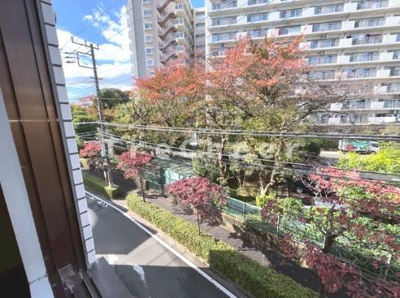 【展望】 | コープクリニカ