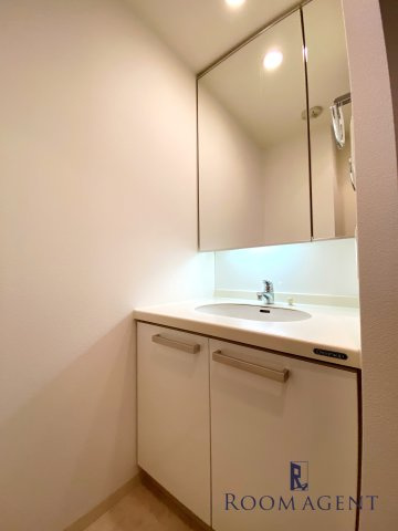 レジディア久屋大通の洗面所