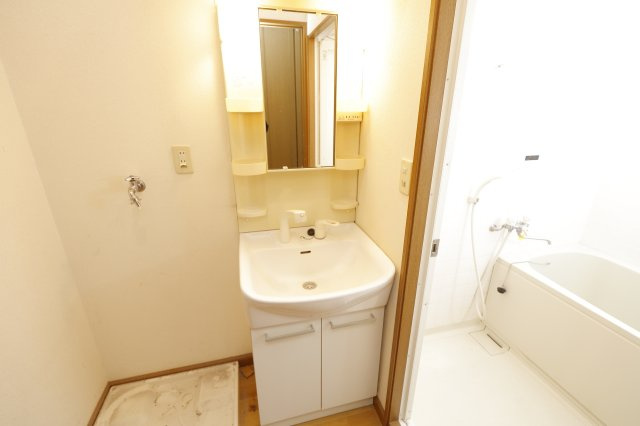 ガーデンハウス壱番館の洗面所