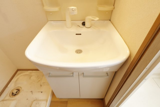 ガーデンハウス壱番館の洗面所