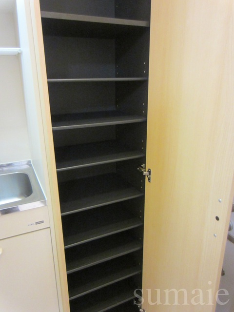 ドミール十条の収納|縦長タイプのシューズボックス！