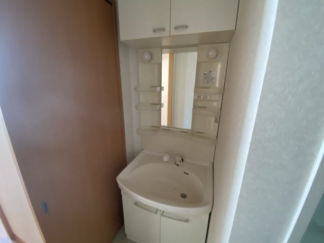 コンフォート佐良和Ⅱの洗面所